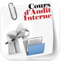 Cours d Audit interne